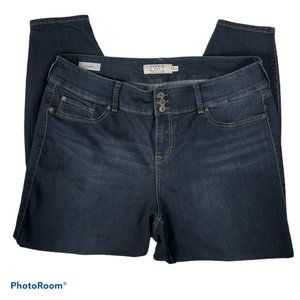 Torrid Sz 22R Jegging Medium Dark Wash 10350616